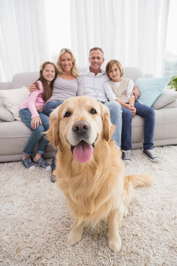 Bella Insurance Group LLC | Serving the Allentown, Bethlehem, Easton, and the surrounding Lehigh Valley areas for 10+ years for all your insurance needs.