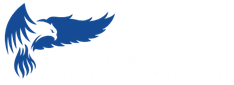 Bella Insurance Group LLC